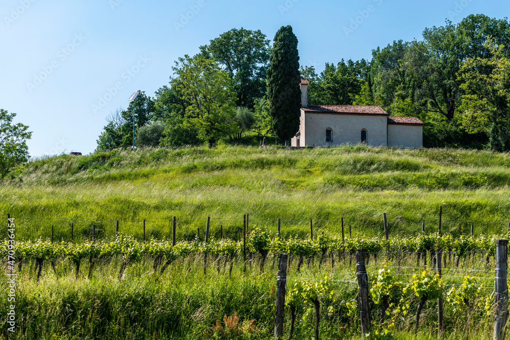 The Collio Friulano. Hills of farmhouses and vineyards The Collio Friulano. Hills of farmhouses and vineyards