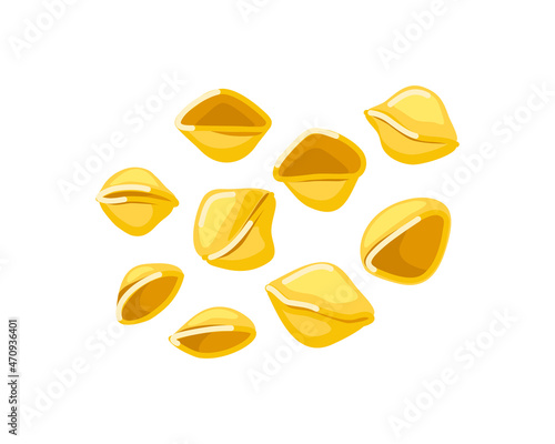 Pasta shells on a white isolated background. Italian macaroni. Cartoon vector illustration.s on a white isolated background. Italian macaroni. Cartoon vector illustration
