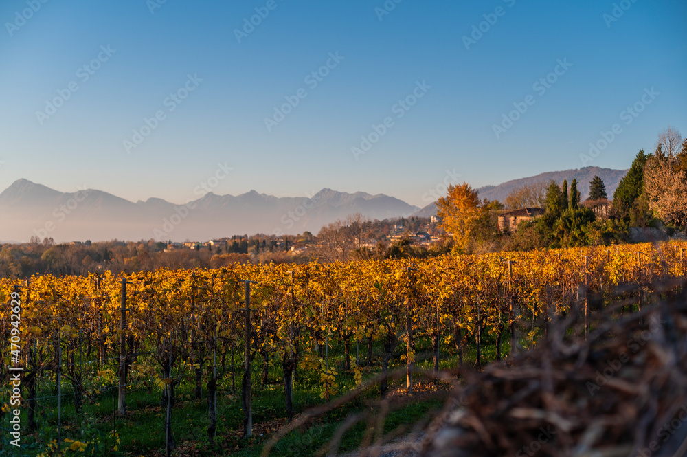 Autumn among the vineyards and the ancient village of Villafredda. Friuli.