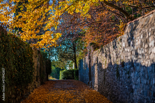 Autumn among the vineyards and the ancient village of Villafredda. Friuli.