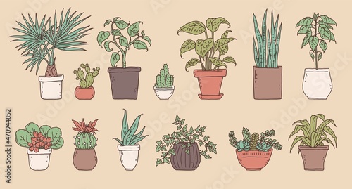 House green plants. Vector set houseplant in flower pot outline doodle isolated illustration.