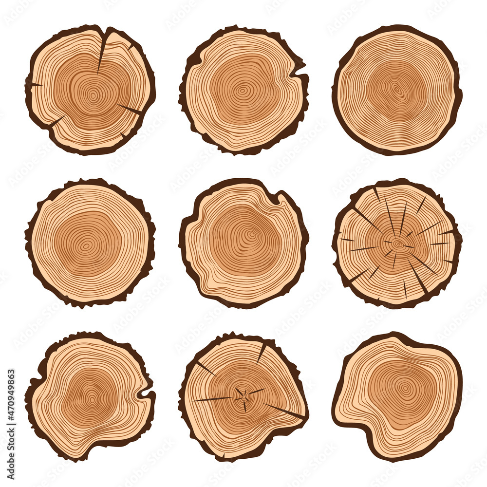 Round tree trunk cuts with cracks, sawn pine or oak slices, lumber. Saw cut timber, wood. Brown wooden texture with tree rings. Hand drawn sketch. Vector illustration Round tree trunk cuts with cracks, sawn pine or oak slices, lumber. Saw cut timber, wood. Brown wooden texture with tree rings. Hand drawn sketch. Vector illustration