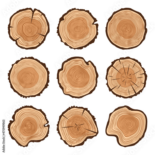 Round tree trunk cuts with cracks, sawn pine or oak slices, lumber. Saw cut timber, wood. Brown wooden texture with tree rings. Hand drawn sketch. Vector illustration