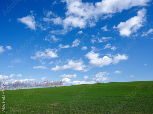 青空と緑の畑 © makieni
