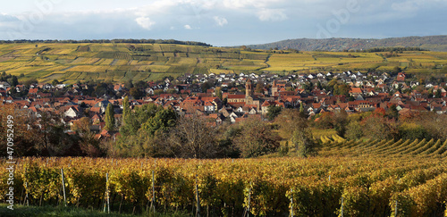 Alsace, vignes