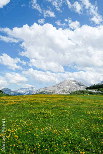 field and blue sky dolomites