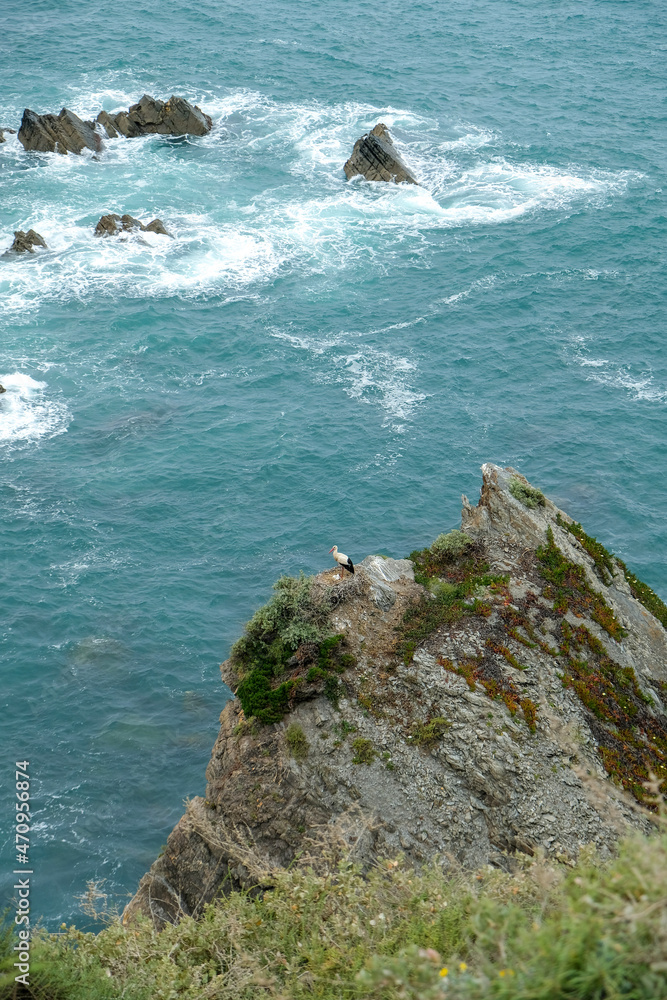waves crashing on rocks sporks - fisherman's trail waves crashing on rocks sporks - fisherman's trail