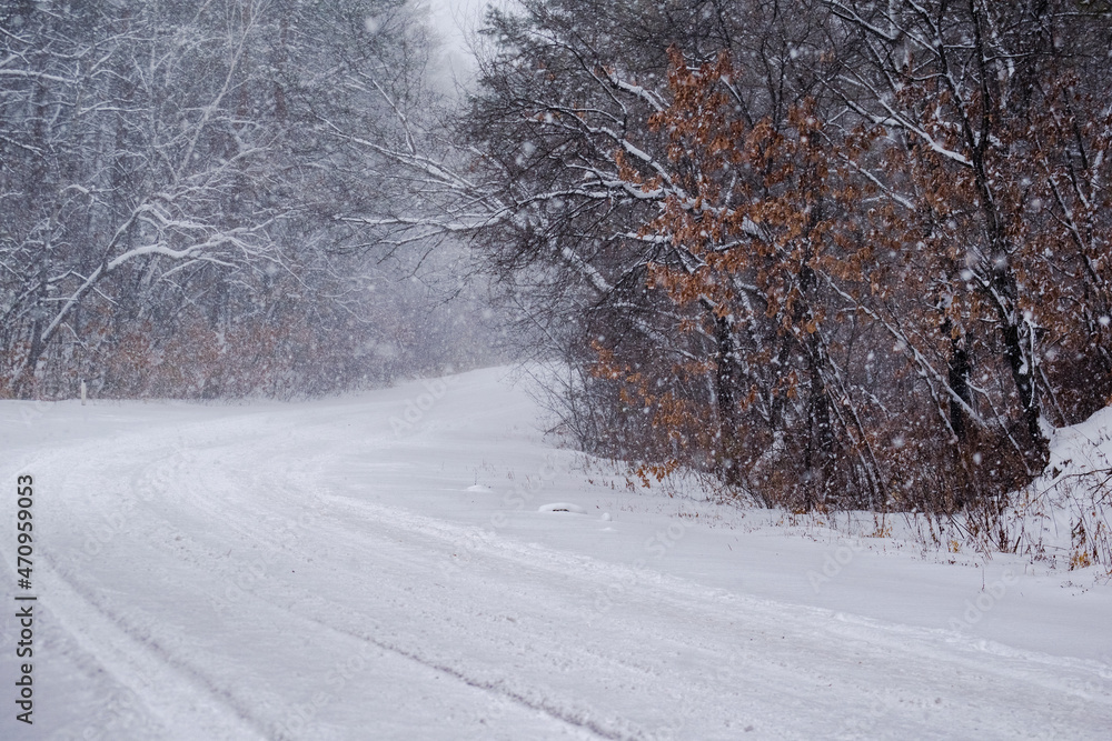 Obraz premium road in winter