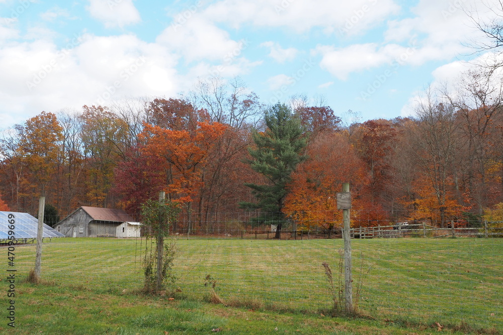 An autumn landscape on this fsarm in rural Pennsylvania.