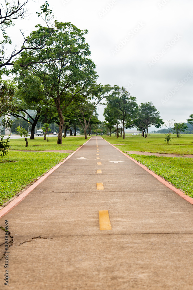 Two-way marked sidewalk on straight path with grass and grove of trees Two-way marked sidewalk on straight path with grass and grove of trees