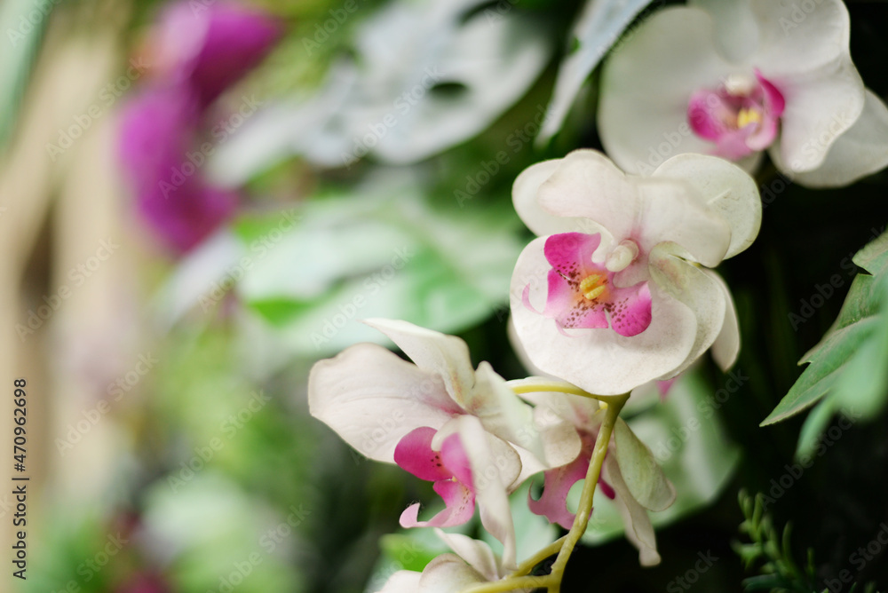 Fototapeta premium Artificial orchids on a background of blurred house
