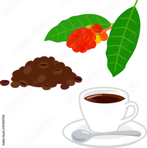 コーヒーの実とコーヒー豆