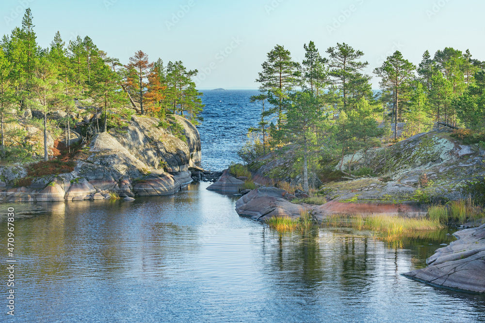 Pine trees on the cliffs of Lake Ladoga at evening time.