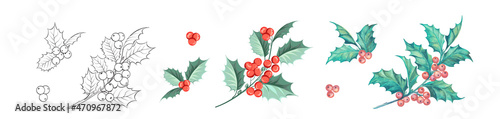 Set of different branches of mistletoe flowers isolated. Watercolor, line art, outline illustration.