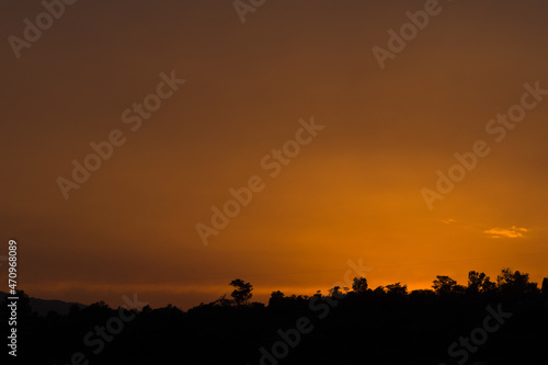 Sunset landscape photo of complete yellow sky and trees