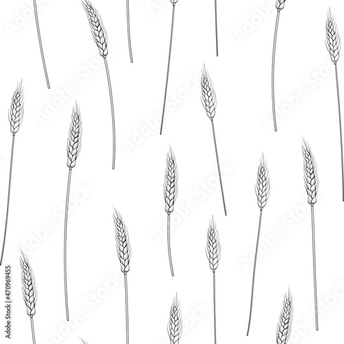 Seamless pattern of wheat in black and white.Rye illustration.