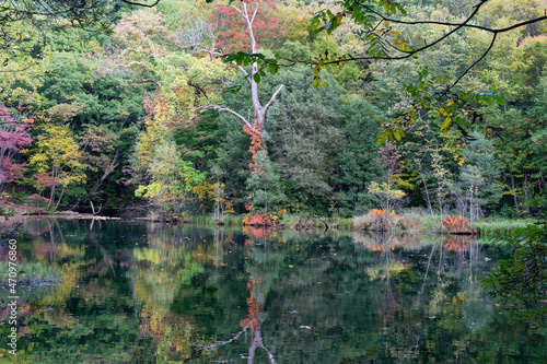 Reflection with the autumn leaves of Furano