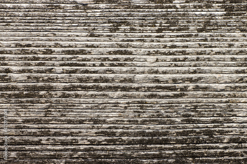 Natural pattern of annual rings of an old cut tree, textured background for design