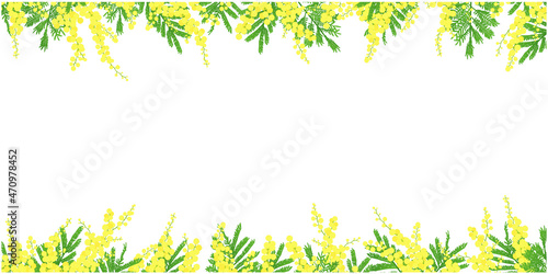 ミモザのフレーム⑥上下