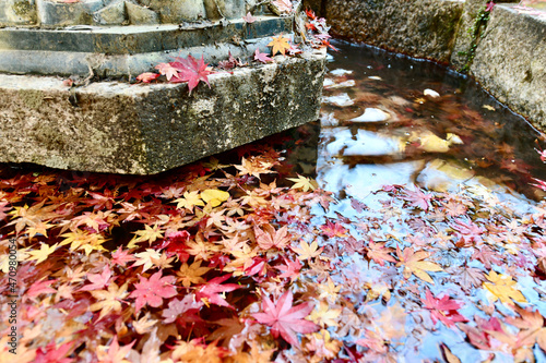 日本の紅葉の寺 © Kazzy