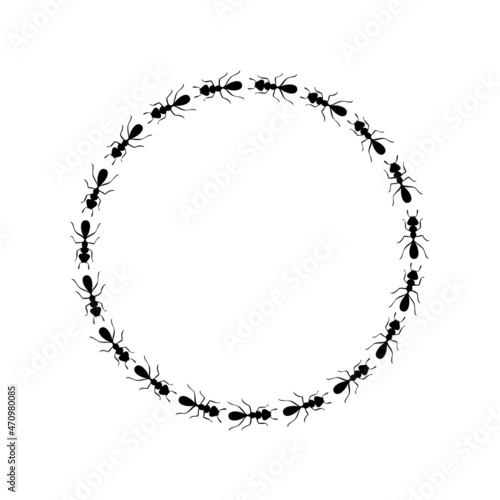 Black ants circle border. Ants forming round shape isolated in white background. Vector illustration