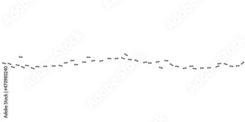 Ants marching in trail searching food. Black ants path isolated in white background. Vector illustration
