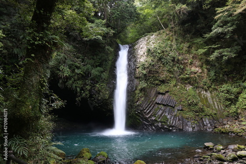Fototapeta Naklejka Na Ścianę i Meble -  日本の滝百選。常連の滝。伊豆・狩野川の上流部、本谷川にある落差25ｍの滝。