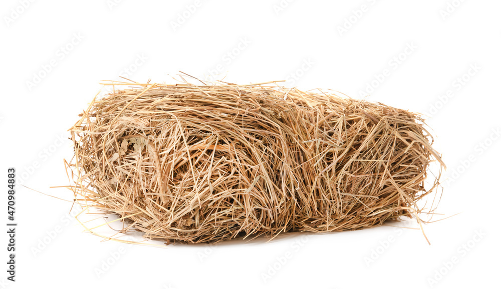 Obraz premium Small dried hay bale on white background