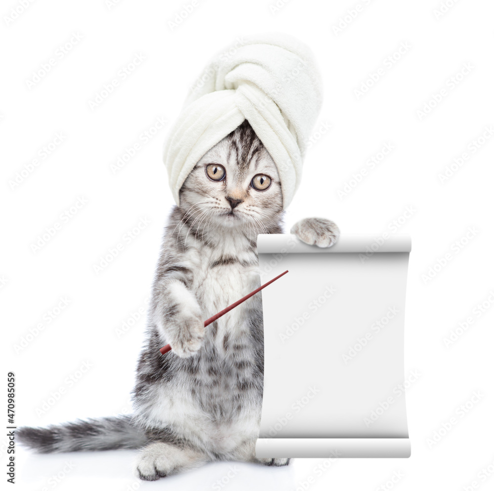 Funny kitten with towel on it head points on empty list. isolated on white background