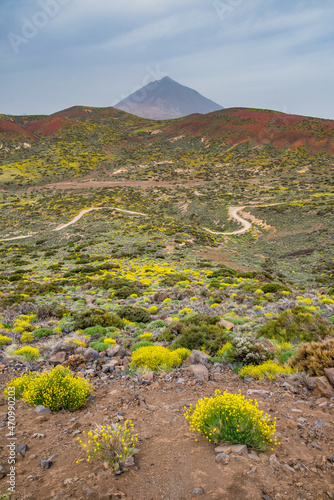 Teide