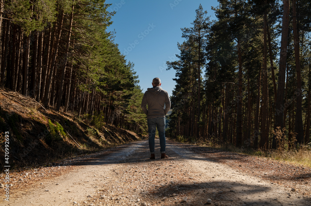 Portrait of adult man in country road in pine forest against blue sky, in Guadalajara, Spain
