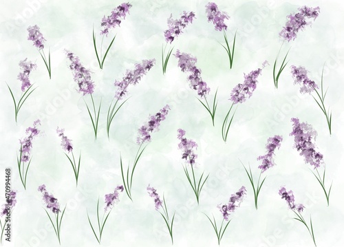 lavender flowers in the garden