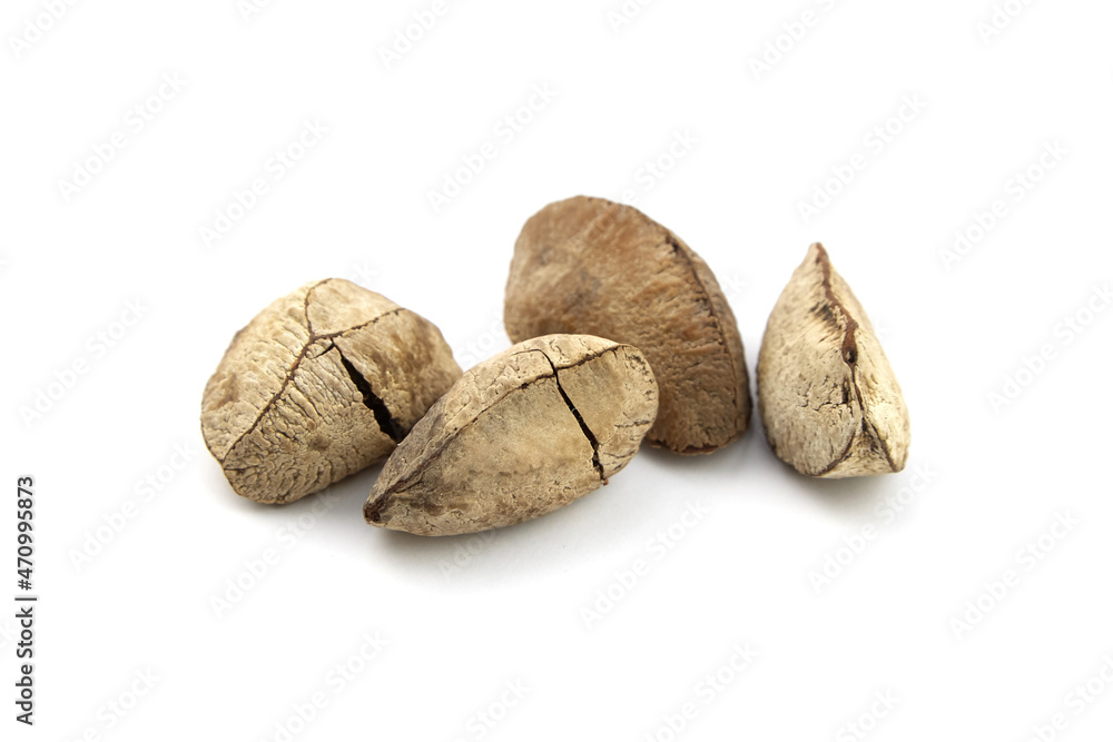 Brazil nuts or Bertholletia excelsa seeds isolated on white Brazil nuts or Bertholletia excelsa seeds isolated on white