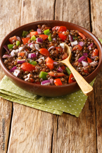 Green lentil salad with tomatoes, onions and chili peppers close-up in a plate on the table. vertical