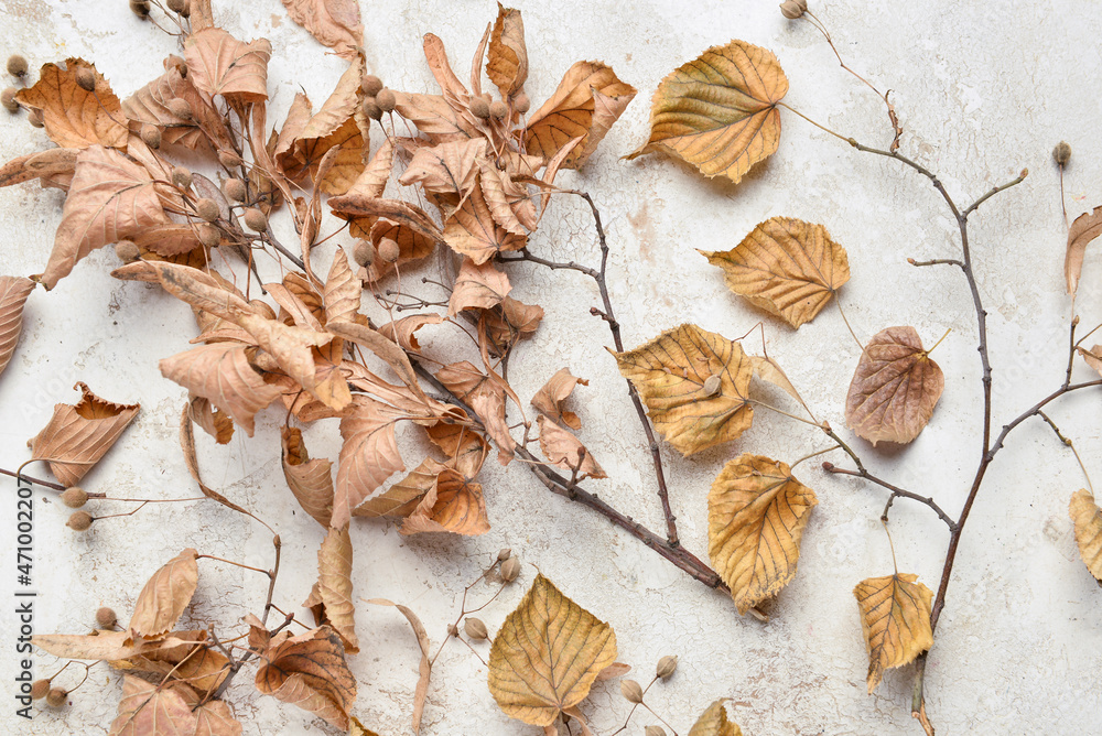 Linden autumn leaves on light background - obrazy, fototapety, plakaty 