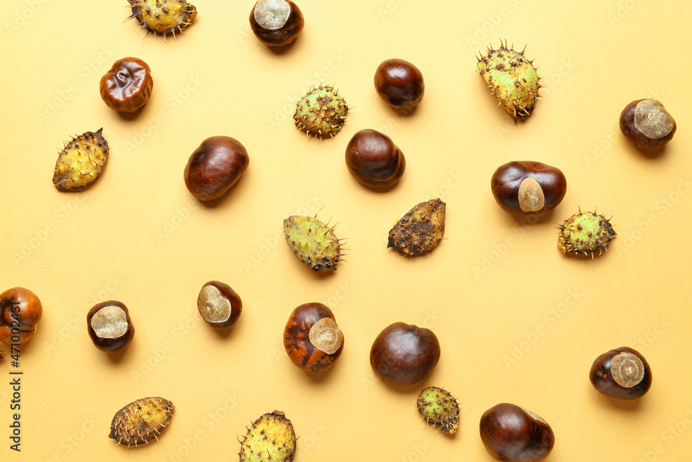 Chestnuts with prickly peel on color background - obrazy, fototapety, plakaty 