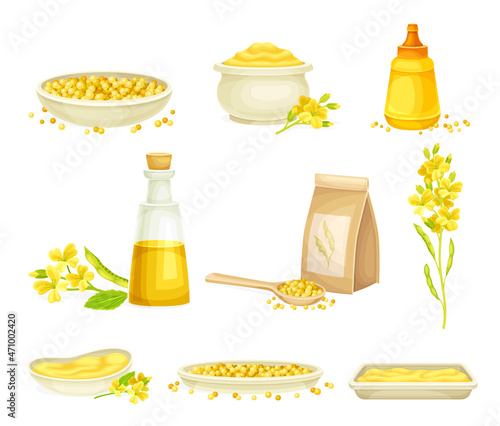 Mustard Yellow Seeds, Oil in Glass Jar and Paste or Sauce Vector Set