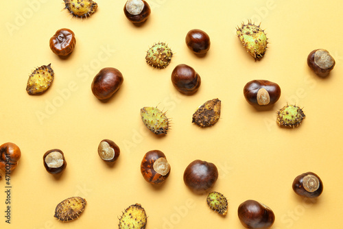 Chestnuts with prickly peel on color background