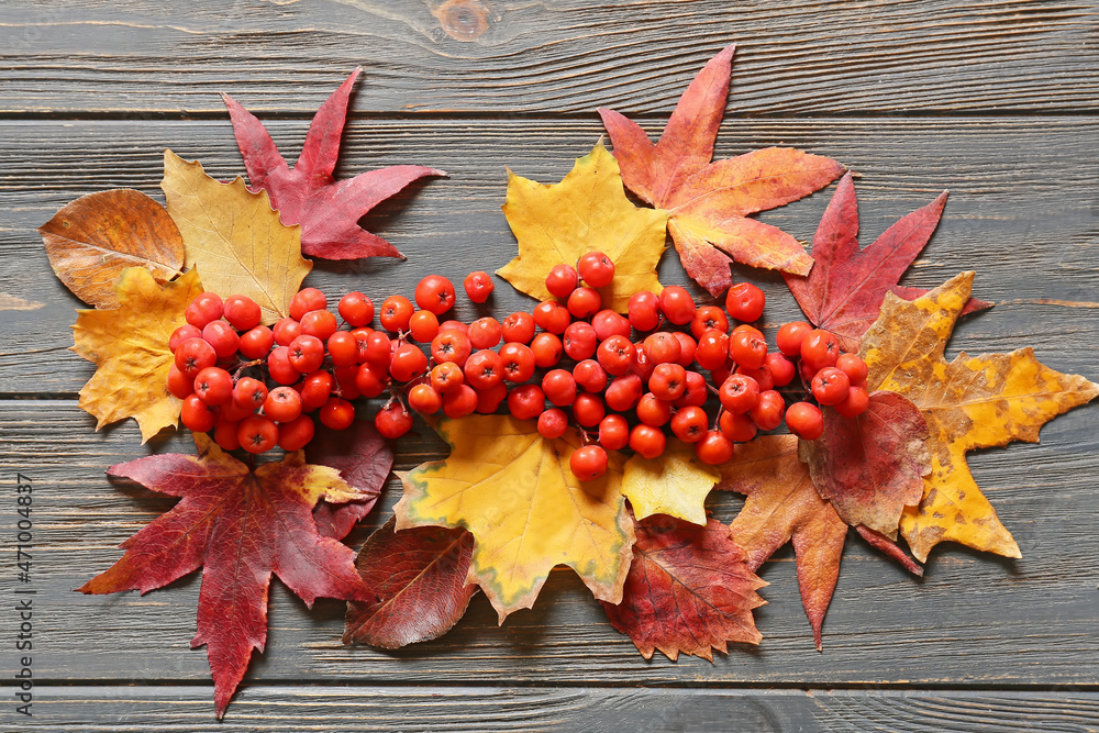 Composition with autumn leaves and ripe rowan berries on dark wooden background - obrazy, fototapety, plakaty 