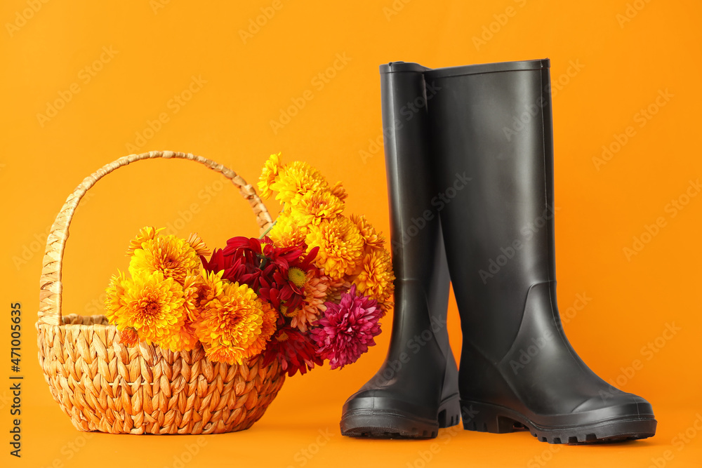 Pair of rubber boots and basket with flowers on color background - obrazy, fototapety, plakaty 