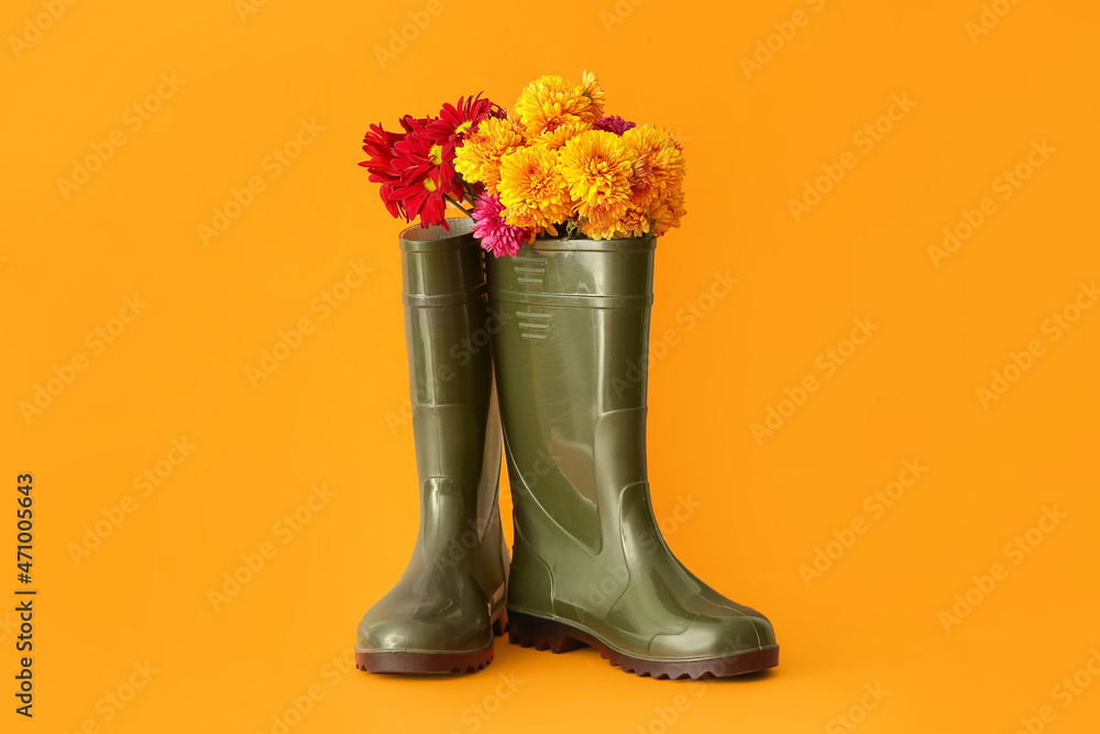 Pair of rubber boots and beautiful autumn flowers on color background - obrazy, fototapety, plakaty 