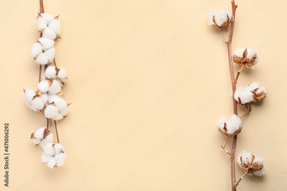 Cotton flowers on beige background - obrazy, fototapety, plakaty 