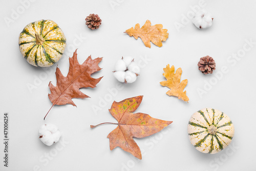 Autumn composition with cotton flowers and pumpkins on light background