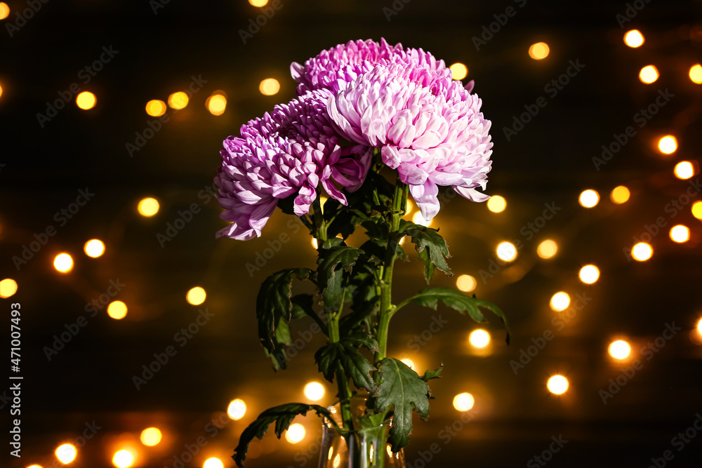 Vase with beautiful chrysanthemum flowers on blurred background - obrazy, fototapety, plakaty 