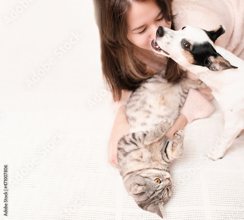 young woman playing with a cat and a dog on a bed, jack russell terrier bites owner by the nose. copy space. lovely pets concept.