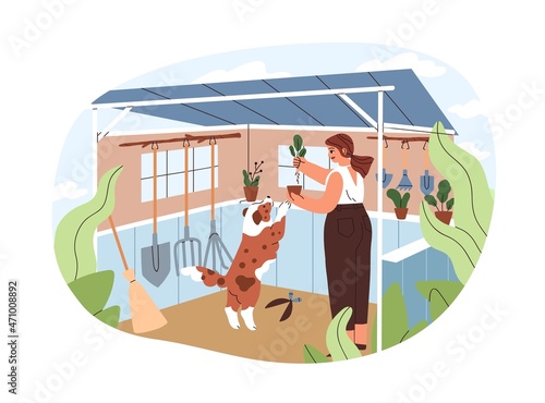 Woman replanting potted plants, work under garden shelter in dacha. Rural summer lifestyle of person and dog. Happy female with pet on holidays. Flat vector illustration isolated on white background