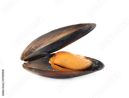One fresh open mussel isolated on white