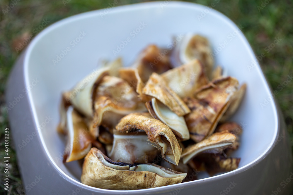 Grilled pork ears in a restaurant with a dog menu Grilled pork ears in a restaurant with a dog menu