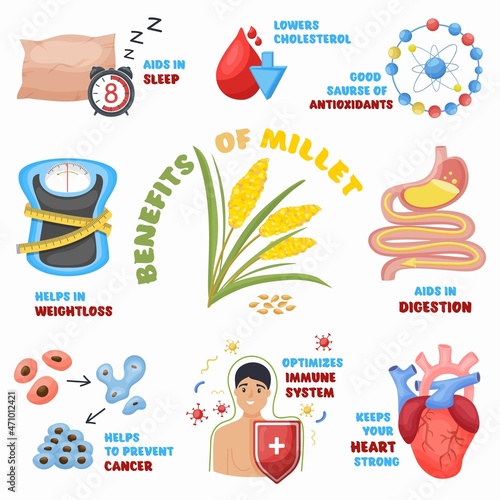Millet health benefits, icons set. Cereals for wellness. Advertisement of healthy eating store, vector illustration.