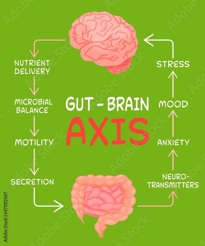 Gut - Brain AXIS vertical poster. Useful infographic.